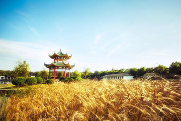 千龙湖生态旅游度假区第 22 张图片