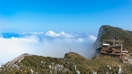 金佛山北坡景区第 43 张图片