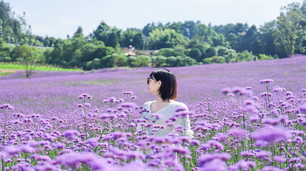 横山花仙谷第 44 张图片
