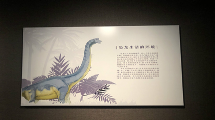 永川博物馆第 21 张图片
