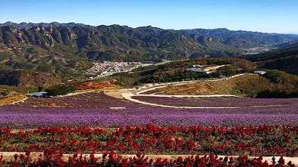 南天丽景风景区第 1 张图片