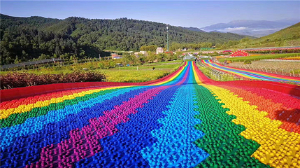 边麻沟花海第 9 张图片