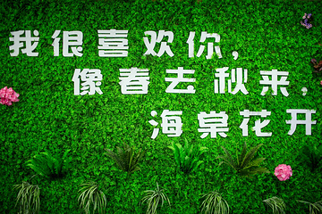 海口5D星空艺术馆第 40 张图片