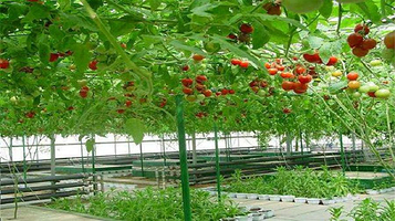 浩彤现代农业观光园