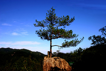 三百山景区第 63 张图片