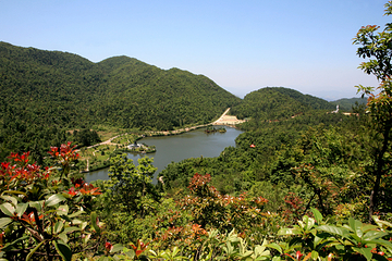 三百山景区第 58 张图片
