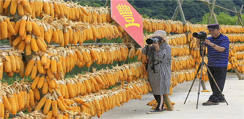 新安江山水画廊第 34 张图片