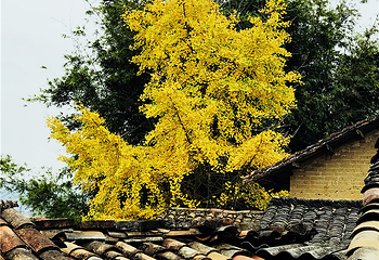 清远金子山原生态旅游风景区第 160 张图片