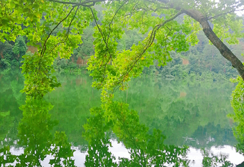赣州阳明湖景区第 43 张图片