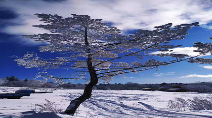 长白山仙峰雪岭景区第 18 张图片