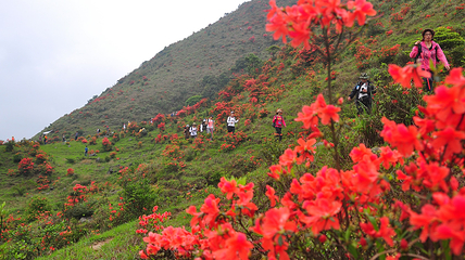 新兴天露山旅游度假区第 80 张图片