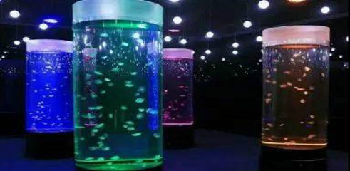 沙沙哗啦海洋馆第 16 张图片