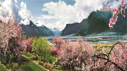 雅鲁藏布大峡谷第 62 张图片