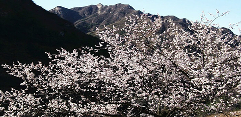 白银坨旅游风景区第 11 张图片