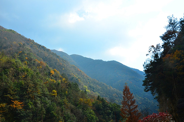 神龙川风景区第 41 张图片
