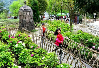 神龙川风景区第 20 张图片