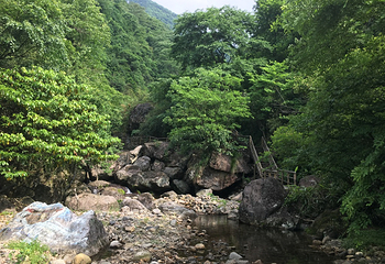 天目山自然保护区第 24 张图片