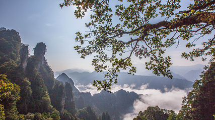 光雾山旅游景区第 57 张图片
