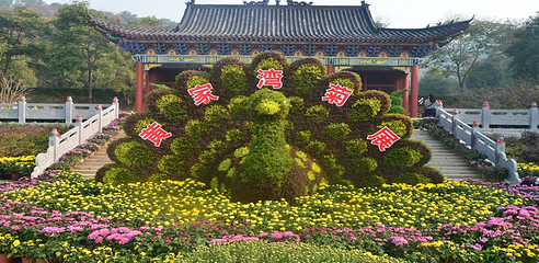 襄阳黄家湾景区第 13 张图片