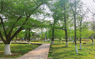 长兴八都岕景区第 58 张图片