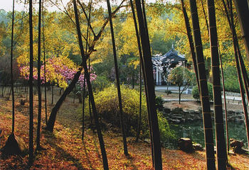 穹窿山景区第 108 张图片