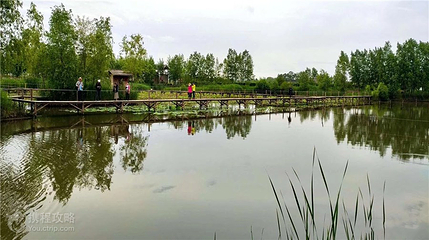 芦海荷畔生态园度假村第 3 张图片