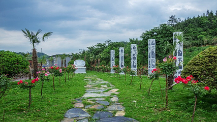 柃蜜小镇·白崖山景区第 25 张图片