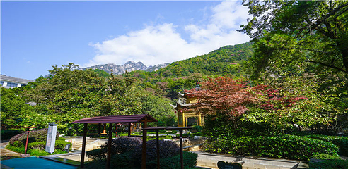 黄山-温泉景区第 16 张图片