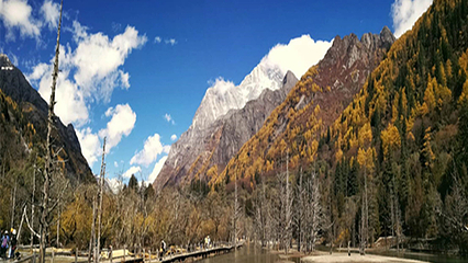 四姑娘山景区第 245 张图片