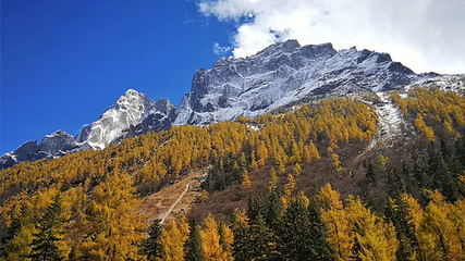 四姑娘山景区第 77 张图片