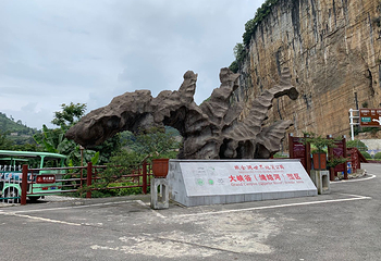 织金洞第 265 张图片