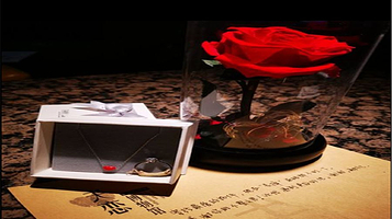 安阳恋爱博物馆