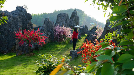 武汉市花海石林风景区第 4 张图片