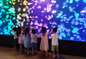 北海海底世界第 27 张图片