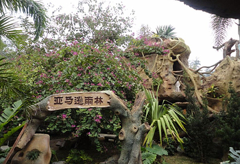 北海海底世界第 56 张图片