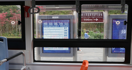 成都city tour观光巴士第 24 张图片
