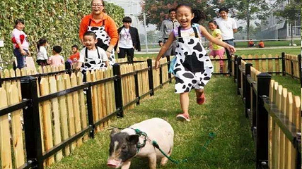 古梅生态农业园第 11 张图片