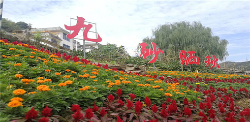 新安江山水画廊第 50 张图片