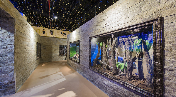 小象动物奇幻世界