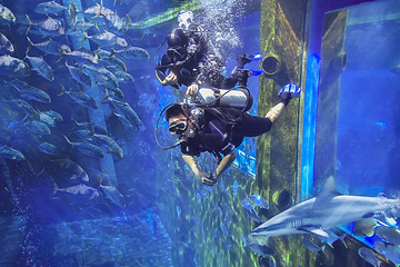 三亚亚特兰蒂斯失落的空间水族馆第 136 张图片