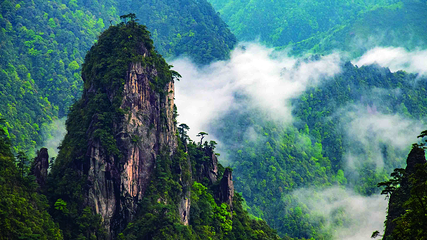 莽山五指峰景区第 59 张图片