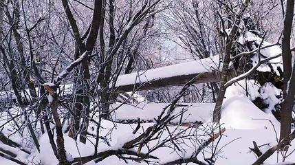 长白山仙峰雪岭景区第 54 张图片