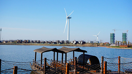 龙湾海上田园第 58 张图片