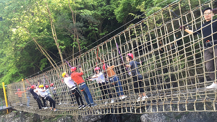 峡谷景廊第 73 张图片