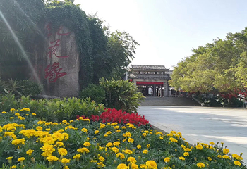 万绿湖•镜花缘游览区第 41 张图片