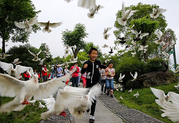 滕头生态旅游区第 11 张图片