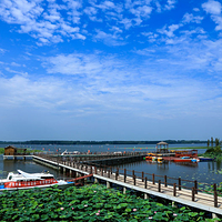 宝应湖国家湿地公园