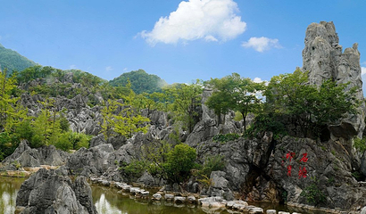 千岛湖石林景区第 14 张图片