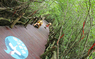富力红树湾湿地公园第 81 张图片