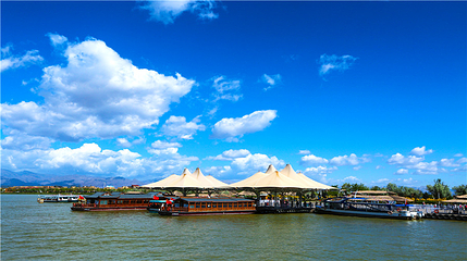 沙湖生态旅游区第 26 张图片